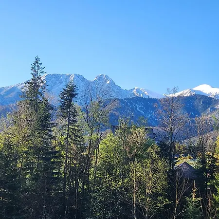 Gorski Potok Lejlighed Kościelisko